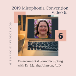 #6 Environmental Sound Sculpting by Dr. Marsha Johnson, AuD (2019)