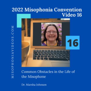 16. COMMON OBSTACLES IN THE LIFE OF THE MISOPHONE (2022)